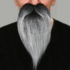 Lange Grijze Baard
