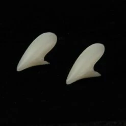 Voorkant -FiestaMágica Ventas tanden 2 gr 1